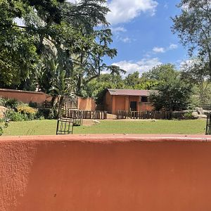 Pygmy Hippo Exhibit #1 (front) Exhibit #2 (back)