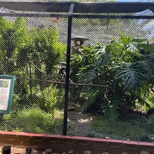 Prevost's squirrel Exhibit