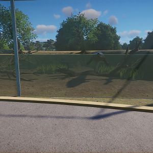 Saltwater Crocodile Underwater Viewing