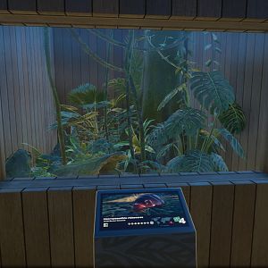 Giant Burrowing Cockroach Tank