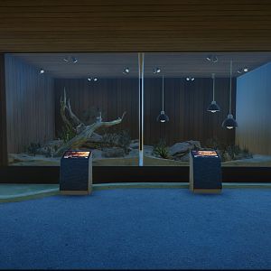 Venemous Snakes of Australia