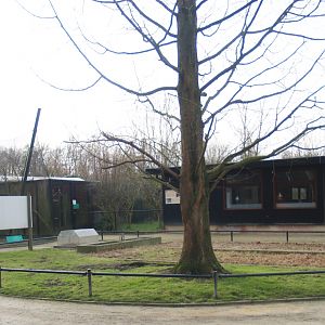Spare aviary building and Bird nursery building near the former waterfowl breeding area, 2008-02-03