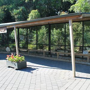 Marmoset / Tamarin enclosures