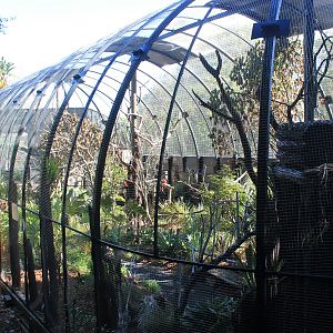 South American aviary