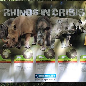rhino signage