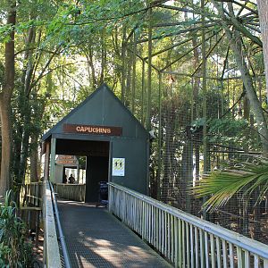 cage for Black-capped Capuchins, showing the height