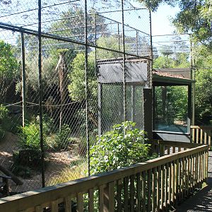 enclosures for Black and White Ruffed Lemurs