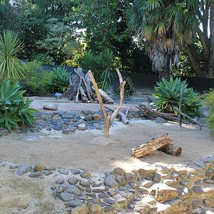 Meerkat enclosure