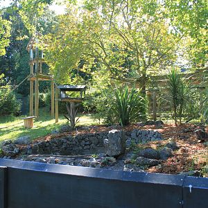 enclosure for Red Pandas