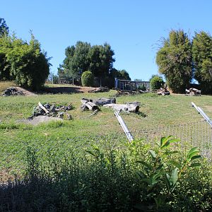 enclosure for African Hunting Dogs