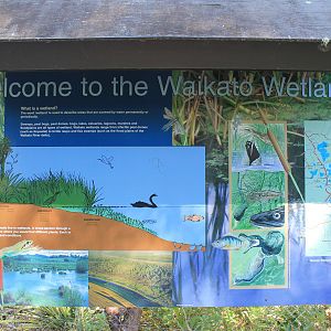 Waikato Wetlands sign