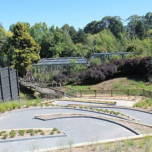Fishing Cat cages (far view)