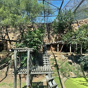 African Leopard Exhibit