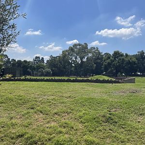 Mixed Antelope Exhibit (Front) Girrafe Exhibit (back)