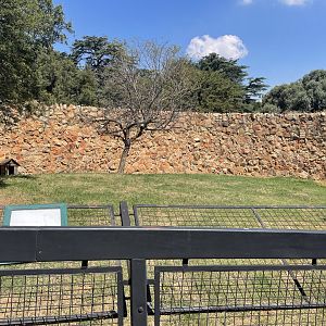 Empty Canid  Exhibit