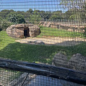 Nile Crocodile Exhibit #1