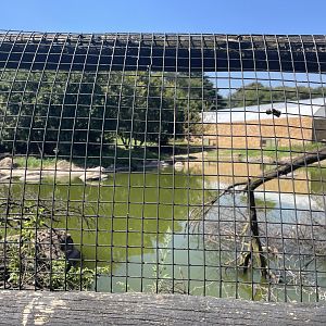 Nile Crocodile Exhibit #2