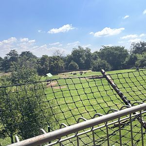 Sable Antelope Exhibit