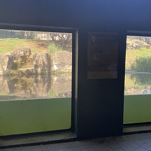 Siberian Tiger Exhibit