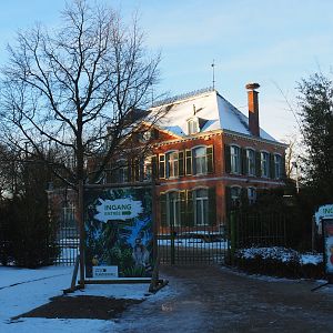 Winter view in Planckendael - 1780 manor house and road to former entrance, 2021-02-14