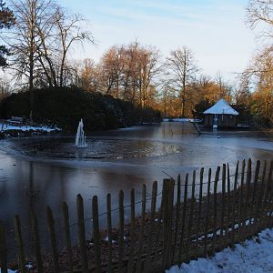 Winter view in Planckendael - Partially frozen Dalmatian pelican pond seen from near vulture aviary, 2021-02-14