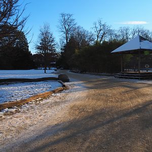 Winter view in Planckendael with bull Indian rhinoceros viewing area and road to European section, 2021-02-14
