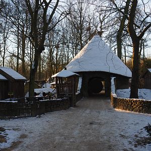 Winter view in Planckendael - Domestic rabbit and raccoon exhibits and den buildings, 2021-02-14
