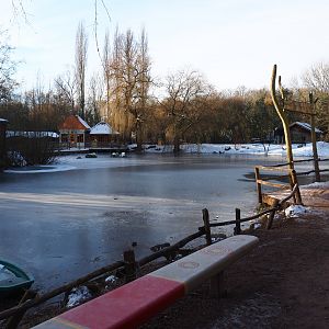 Winter view in Planckendael - Oceania section pond, now without pontoon with playground, 2021-02-14