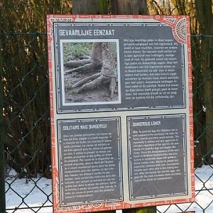 Information signs Double-wattled cassory (including bush hat), 2021-02-14