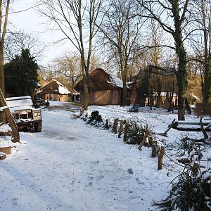 Winter view in Planckendael - Road to the African village, 2021-02-14