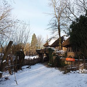 Winter view in Planckendael - African village, 2021-02-14