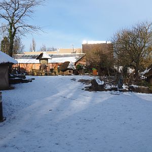 Winter view in Planckendael - African village and bonobo house, 2021-02-14