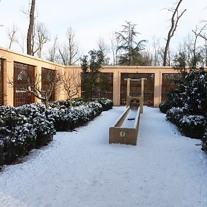 Winter view in Planckendael - Moroccan pavilion and gardens with Barbary macaque viewing areas, 2021-02-14