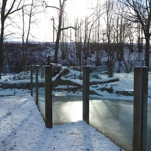 Winter view in Planckendael - Spotted hyena exhibits, 2021-02-14