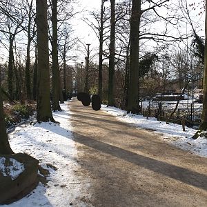 Winter view in Planckendael - Main walkway lined with old beeches, 2021-02-14