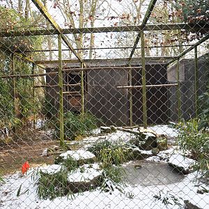 Aviary temporarily housing Scarlet and Black-faced ibis, 2021-02-14