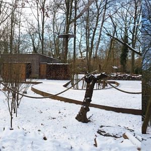 Winter view in Planckendael - Callitrichid area, 2021-02-14