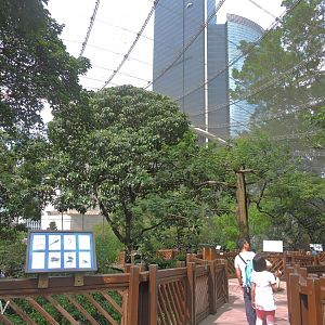 Edward Youde Aviary [2016]