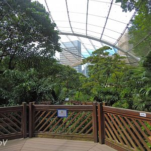 Edward Youde Aviary [2016]