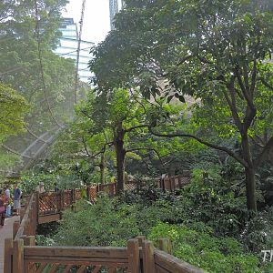 Edward Youde Aviary [2016]