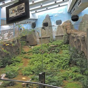 Jia Jia's exhibit [2016]