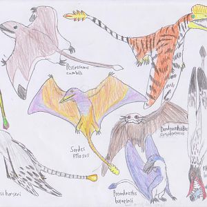 Meso-Posters: Rhamphorhynchoids