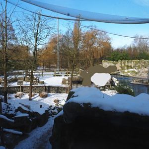 Winter views in Planckendael - South American aviary, 2021-02-14