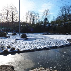 Winter view in Planckendael - South American aviary, Chilean flamingo area, 2021-02-14