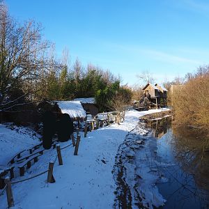 Winter view in Planckendael - View in Asian area, 2021-02-14