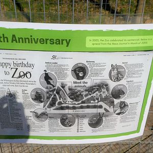 New Historic Signs - 100th Anniversary