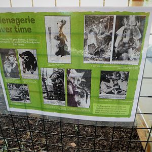 New Historic Signs - The Menagerie Over Time
