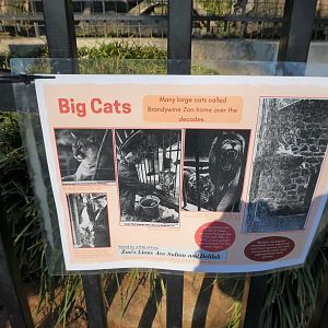 New Historic Signs - Big Cats