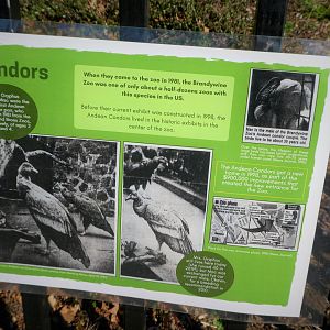 New Historic Signs - Condors