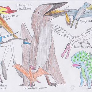 Meso-posters; Pterodactyloids